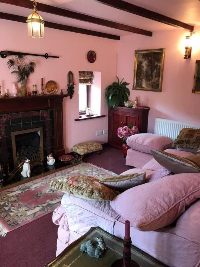 Cosy Cottage For Ecotourism Lovers Near Corwen Exterior foto