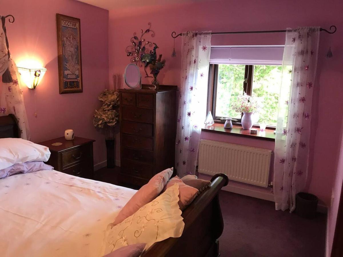Cosy Cottage For Ecotourism Lovers Near Corwen Exterior foto