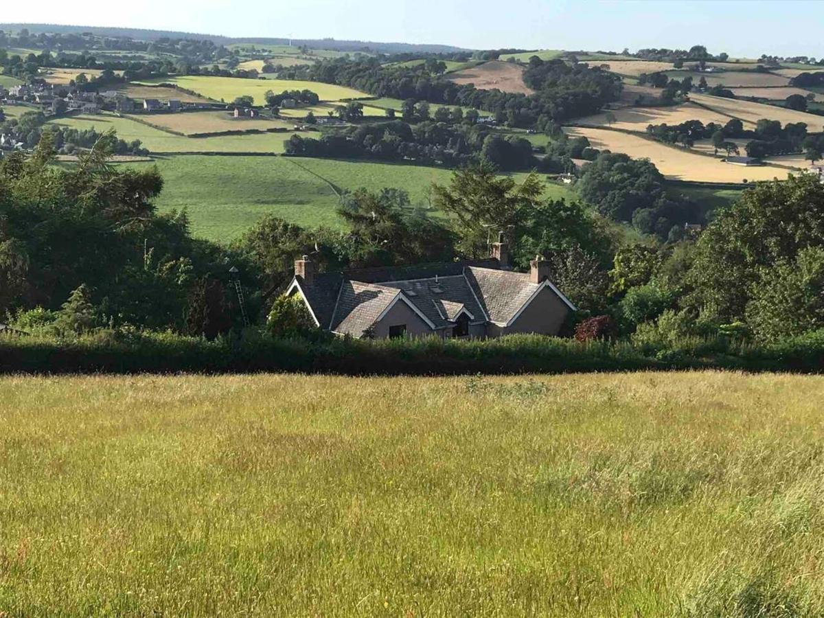 Cosy Cottage For Ecotourism Lovers Near Corwen Exterior foto
